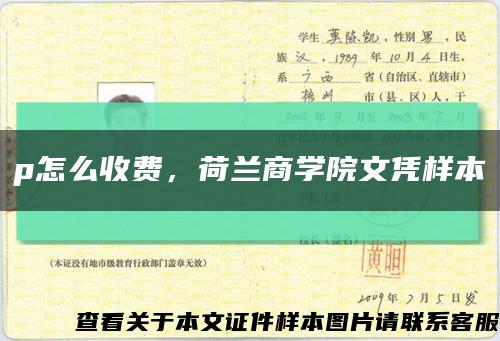 p怎么收费，荷兰商学院文凭样本缩略图