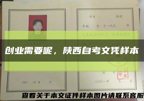 创业需要呢，陕西自考文凭样本缩略图