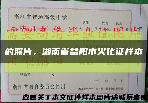 的照片，湖南省益阳市火化证样本缩略图