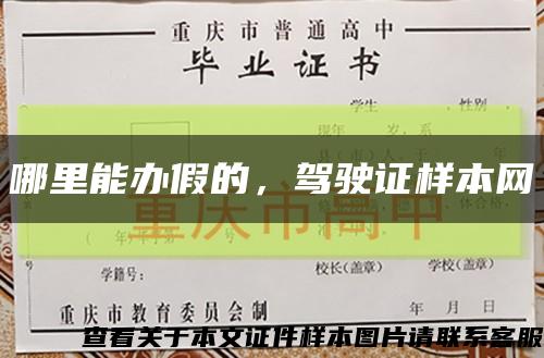 哪里能办假的，驾驶证样本网缩略图