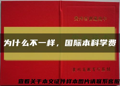 为什么不一样，国际本科学费缩略图