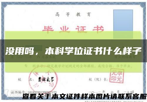没用吗，本科学位证书什么样子缩略图