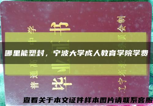 哪里能塑封，宁波大学成人教育学院学费缩略图