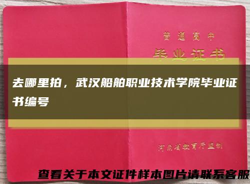 去哪里拍，武汉船舶职业技术学院毕业证书编号缩略图