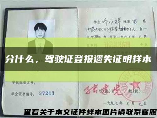 分什么，驾驶证登报遗失证明样本缩略图