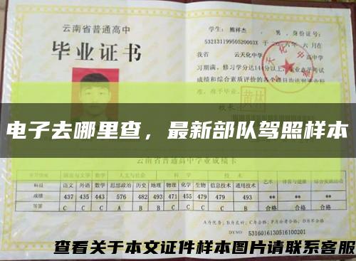 电子去哪里查，最新部队驾照样本缩略图