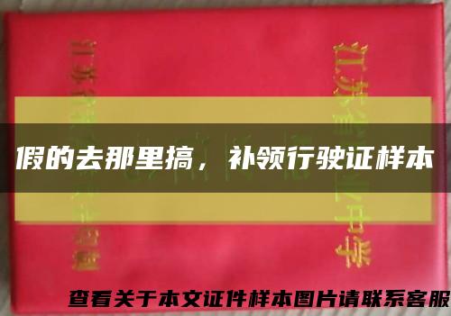 假的去那里搞，补领行驶证样本缩略图