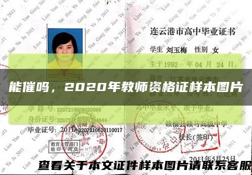 能催吗，2020年教师资格证样本图片缩略图