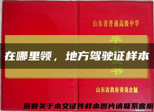 在哪里领，地方驾驶证样本缩略图