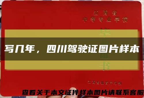 写几年，四川驾驶证图片样本缩略图