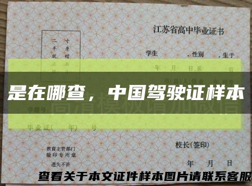 是在哪查，中国驾驶证样本缩略图