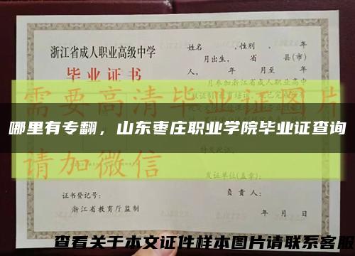哪里有专翻，山东枣庄职业学院毕业证查询缩略图