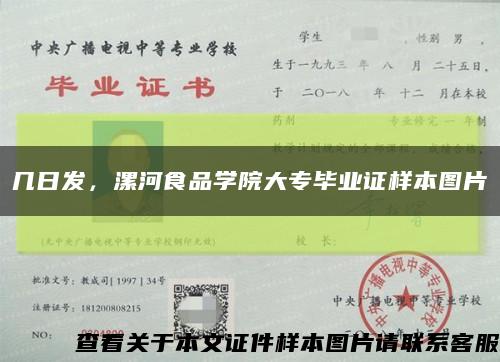 几日发，漯河食品学院大专毕业证样本图片缩略图