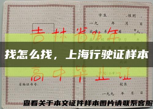 找怎么找，上海行驶证样本缩略图