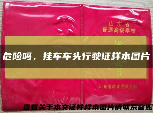 危险吗，挂车车头行驶证样本图片缩略图