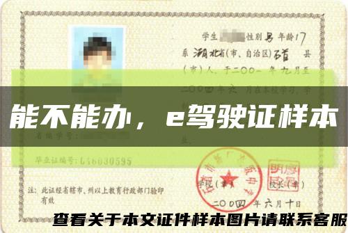 能不能办，e驾驶证样本缩略图