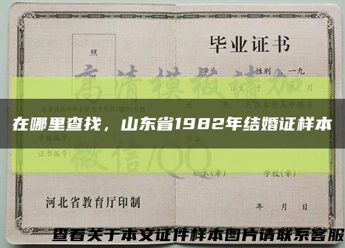 在哪里查找，山东省1982年结婚证样本缩略图