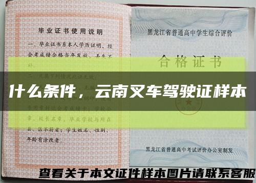 什么条件，云南叉车驾驶证样本缩略图