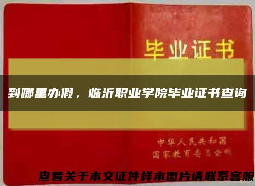 到哪里办假，临沂职业学院毕业证书查询缩略图