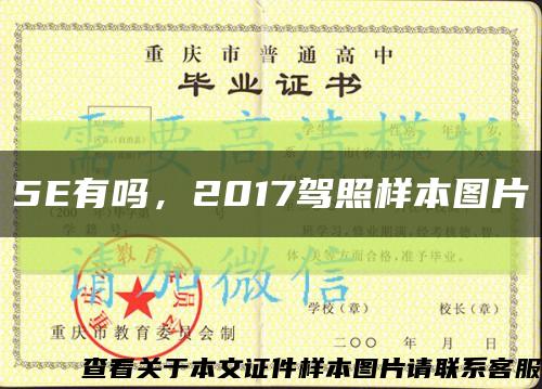 5E有吗，2017驾照样本图片缩略图