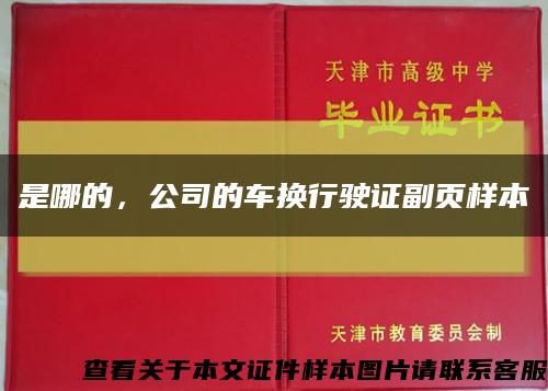 是哪的，公司的车换行驶证副页样本缩略图