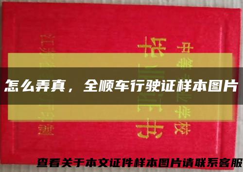 怎么弄真，全顺车行驶证样本图片缩略图