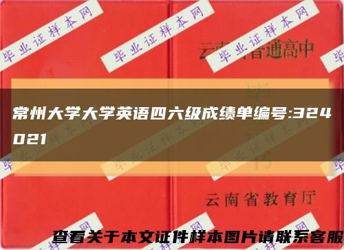 常州大学大学英语四六级成绩单编号:324021缩略图