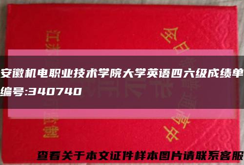 安徽机电职业技术学院大学英语四六级成绩单编号:340740缩略图