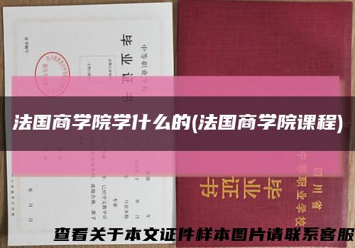 法国商学院学什么的(法国商学院课程)缩略图