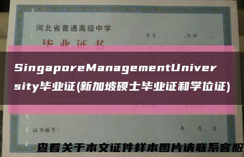 SingaporeManagementUniversity毕业证(新加坡硕士毕业证和学位证)缩略图