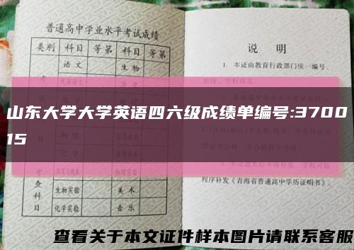 山东大学大学英语四六级成绩单编号:370015缩略图