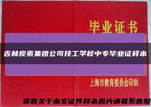 吉林炭素集团公司技工学校中专毕业证样本缩略图