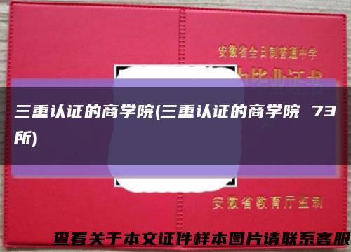 三重认证的商学院(三重认证的商学院 73所)缩略图