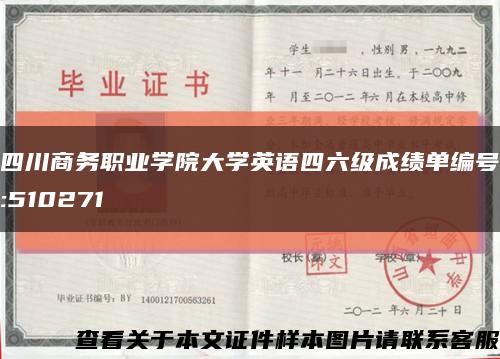四川商务职业学院大学英语四六级成绩单编号:510271缩略图