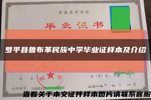 罗平县鲁布革民族中学毕业证样本及介绍缩略图