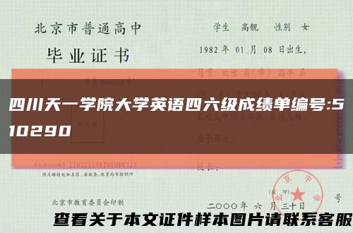 四川天一学院大学英语四六级成绩单编号:510290缩略图