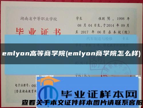emlyon高等商学院(emlyon商学院怎么样)缩略图