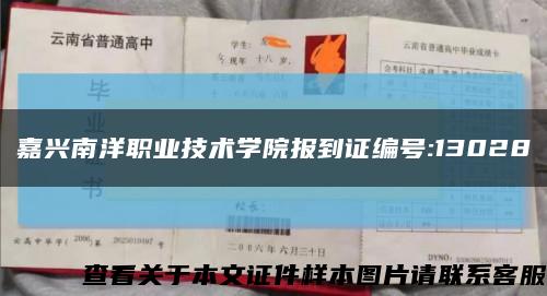 嘉兴南洋职业技术学院报到证编号:13028缩略图