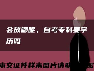 会放哪呢，自考专科要学历吗缩略图