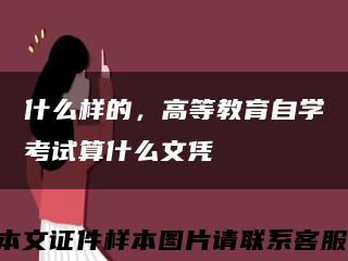 什么样的，高等教育自学考试算什么文凭缩略图