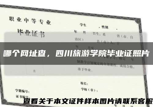 哪个网址查，四川旅游学院毕业证照片缩略图