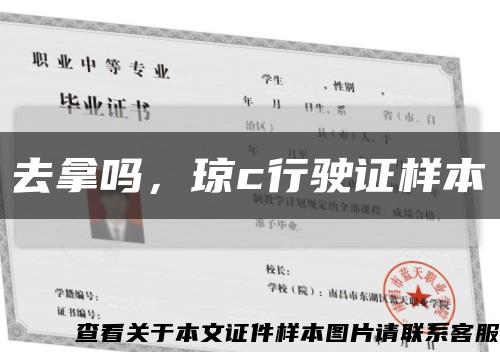 去拿吗，琼c行驶证样本缩略图