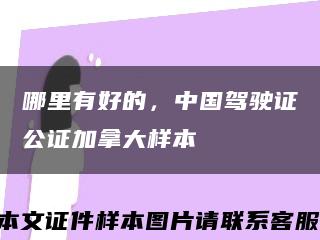 哪里有好的，中国驾驶证公证加拿大样本缩略图