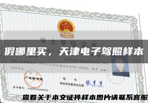 假哪里买，天津电子驾照样本缩略图