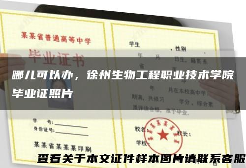 哪儿可以办，徐州生物工程职业技术学院毕业证照片缩略图