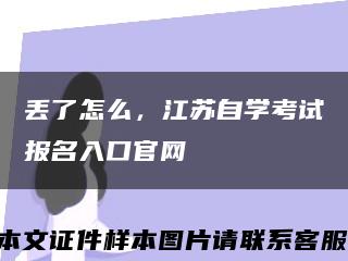 丢了怎么，江苏自学考试报名入口官网缩略图
