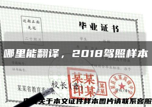 哪里能翻译，2018驾照样本缩略图
