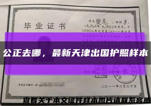 公正去哪，最新天津出国护照样本缩略图