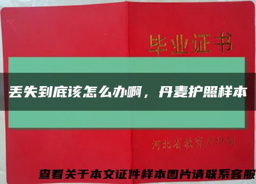 丢失到底该怎么办啊，丹麦护照样本缩略图