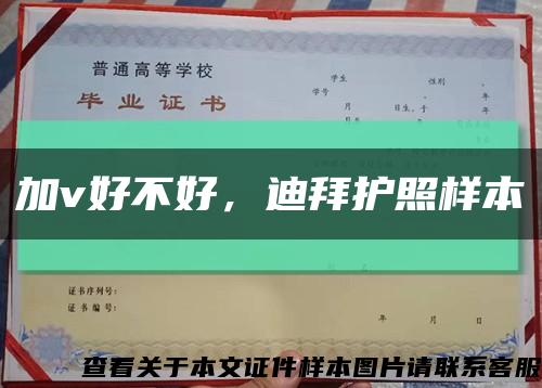 加v好不好，迪拜护照样本缩略图